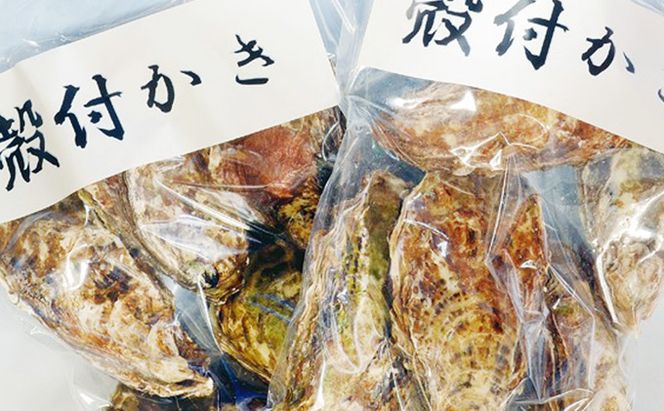 牡蠣 2026年 先行予約 殻付き牡蠣 レンジでチン セット 5個入×2袋 山銀商店 瀬戸内海虫明湾産 魚介類 カキ かき シーフード 