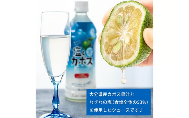 塩とカボス (495ml×24本) かぼす ドリンク ジュース かぼす カボス 塩 食塩 ノンアルコール ペットボトル 大分県産 特産品 家庭用 大分県 佐伯市【HD184】【さいき本舗 城下堂】