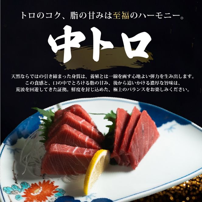 【スピード発送】 天然本まぐろ 赤身 中トロ 大トロ セット 800g以上 訳あり まぐろ 刺身 さしみ 刺し身 鮮魚 まぐろ赤身 鮪 魚介 魚 マグロ 漬け ユッケ 海鮮丼 国産 天然まぐろ 高級 天然 人気 寿司 本鮪 お正月 年末 冷凍 三陸 大船渡 岩手 冊 ギフト ごちそう