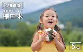 健幸農園の棚田米 5kg 【2025年産】 精米 白米 農家直送