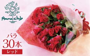 【ラッピング付】生花 レッド バラの花束 30本 日付指定可能 赤 薔薇 ローズ ギフト プレゼント ラッピング インテリア お花 フラワー  H193-017