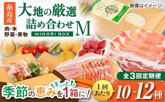【全3回定期便】糸島産 肉 米 野菜 果物 厳選詰め合わせ MINORI BOX Mサイズ 糸島市 / emma.Inc / 米 肉 野菜 果物 詰め合わせ[AOP012]