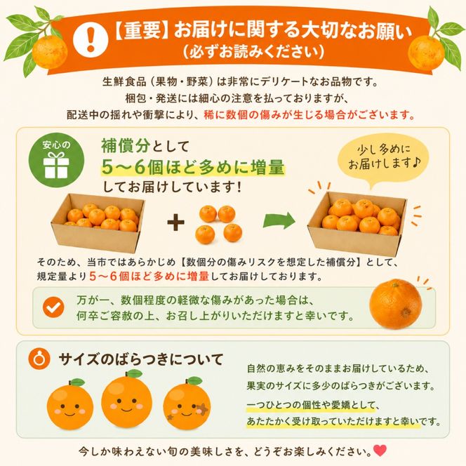 【2026年12月中旬～発送】【訳あり】家庭用 南高みかん 10kg / みかん ミカン 蜜柑 果物 フルーツ / 南島原市 / 南高果樹農業協同組合[SGI002]