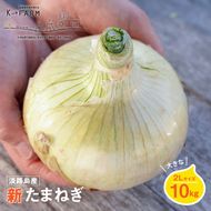 【新玉ねぎ】淡路島玉ねぎ 大きな2Lサイズ10kg【発送時期：2026年3月下旬～6月頃】
