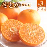 【2027年先行受付】せとか 家庭用 3kg М～2Lサイズ 混合_BF6047n