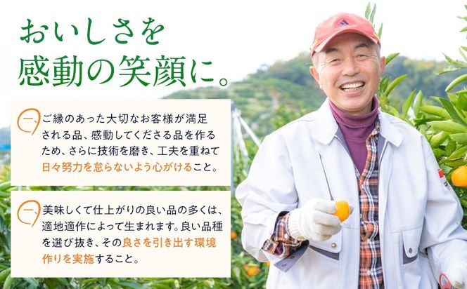 訳あり 春峰 2.5kg M～2Lサイズおまかせ 高石垣ファーム   K015