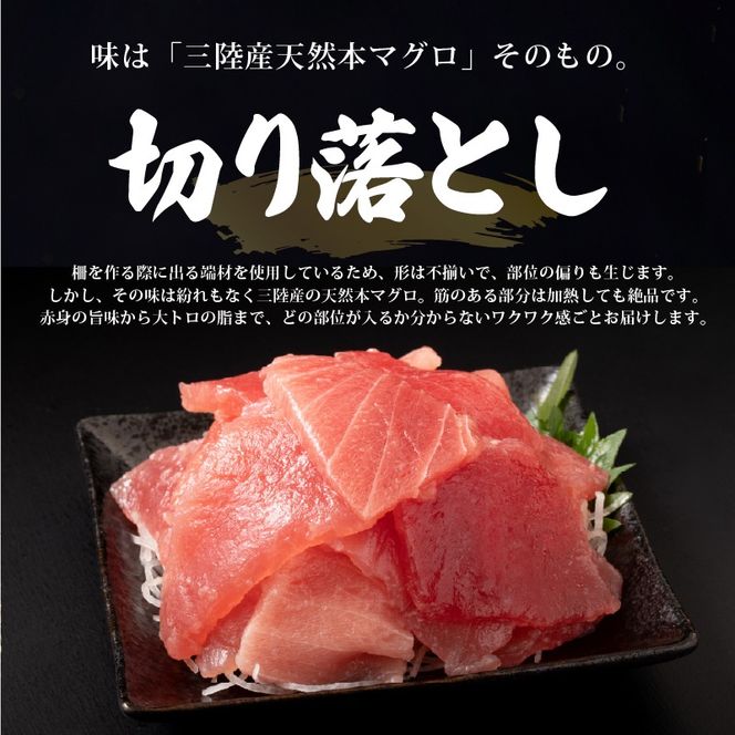 【スピード発送】 数量限定 天然本まぐろ 切り落とし 500g(100g×5) 訳あり まぐろ 刺身 さしみ 刺し身 鮮魚 まぐろ赤身 鮪 魚介 魚 マグロ 漬け ユッケ 海鮮丼 国産 天然まぐろ 高級 天然 人気 寿司 本鮪 お正月 年末 冷凍 三陸 大船渡 岩手 冊 ギフト ごちそう