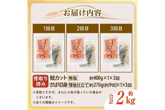 【定期便・全3回(連続)】骨取り さば切身と鮭カットのセット(総量約2kg) 鮭 小分け 冷凍 サーモン シャケ サケ サバ 鯖 骨なし 骨取り セット 魚 魚介 【AW-105】【丸正水産】