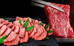 飛騨牛 赤身メイン 焼肉用 約500g（約250g×2パック）A4～A5等級使用 焼肉 肉 牛 牛肉 お肉 国産 和牛 国産牛 赤身 BBQ お取り寄せ 冷蔵 送料無料 焼肉マルイ 岐阜県 安八町