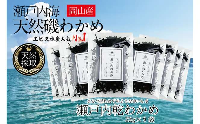 風味豊かな 瀬戸内 わかめ 22g×9袋 エビス水産【岡山 瀬戸内海 天然 カットわかめ】 [№5735-1278]