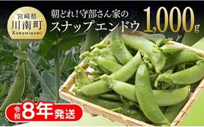 【令和8年発送】朝どれ！守部さん家のスナップエンドウ1.0kg 【 野菜 宮崎県産 エンドウ豆 えんどう豆 おつまみ 2026年発送 】[C06415]