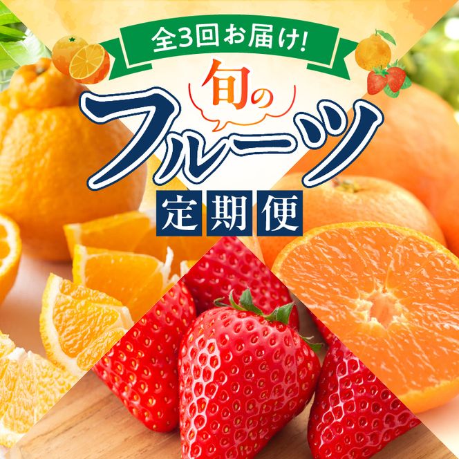 【定期便 全3回】紀州和歌山産旬のフルーツ定期便（田村みかん、いちご、紀州デコ）_G60-T77