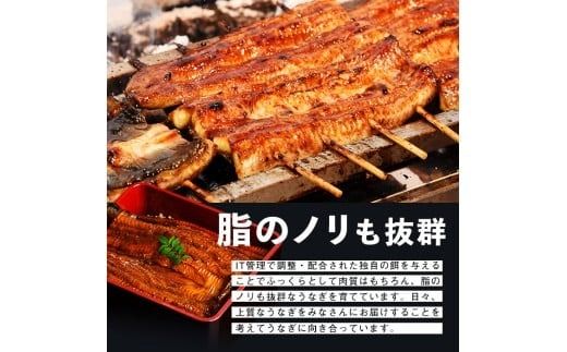 【志布志市制20周年記念】【10営業日以内に発送】【数量限定】鹿児島県産うなぎ蒲焼 名水慈鰻 超特上 2尾(1尾あたり236～270g)＜計500g以上＞ a5-352
