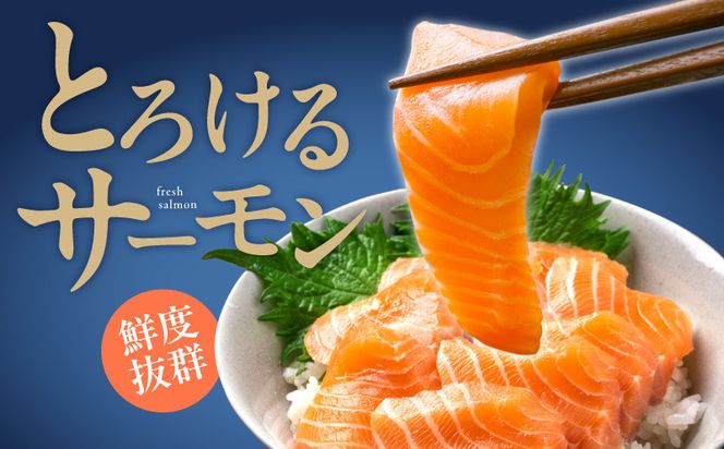 099H3930 アトランティック サーモン 250g & いくら醤油漬け 80g×2P【北国からの贈り物 食べ比べ セット 小分け 海鮮丼 お楽しみ 冷凍】