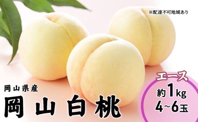 桃 2026 年先行予約 岡山 白桃 エース 4～6玉 1kg 岡山県産 JAおかやまのもも モモ 岡山県産 国産 フルーツ 果物 ギフト