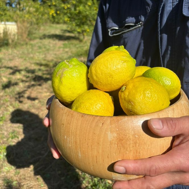 【2026年11月～5月順次発送】【先行予約】【先行受付】宗像産レモン2kg【道の駅むなかた】_HA1817