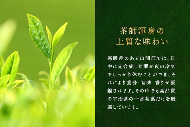 宇治深蒸し煎茶「松の匠」1kg（250g×4本）〈お茶 茶 煎茶 緑茶 高級 茶葉 深むし 深蒸し茶 茶葉 宇治 宇治茶 日本茶 飲料 加工食品〉 