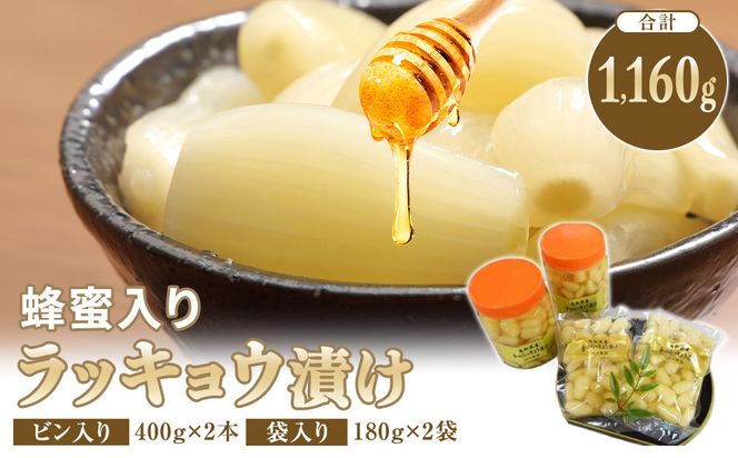 412.蜂蜜入りラッキョウ漬け　（ビン入り：400g×2本　袋入り：180g×2袋）　※2026年10月中旬～12月下旬頃に順次発送予定 313726_AP004