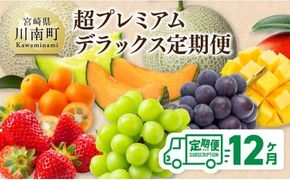 【 12ヶ月定期便 】 超 プレミアム デラックス 定期便 【 川南町産 くだもの きんかん いちご 完熟 マンゴー ぶどう ピオーネ シャイン マスカット 大玉 メロン 】[B11702t12]