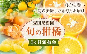 柑橘 柑橘定期便  森田果樹園 《12月上旬-4月末頃出荷》 熊本県 氷川町 柑橘 定期便 みかん スイートスプリング 晩白柚 不知火 八朔 果物 フルーツ 熊本県産---hkw_mtk_4_mo5---