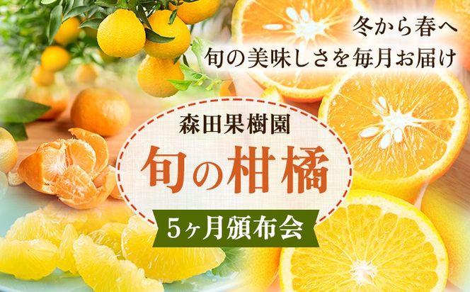 柑橘 柑橘定期便  森田果樹園 《12月上旬-4月末頃出荷》 熊本県 氷川町 柑橘 定期便 みかん スイートスプリング 晩白柚 不知火 八朔 果物 フルーツ 熊本県産---hkw_mtk_4_mo5---