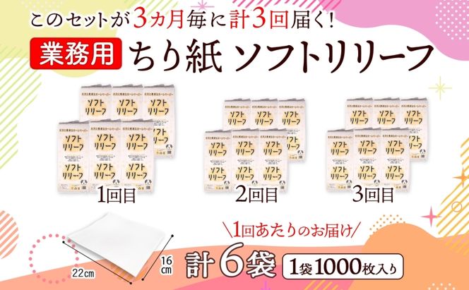 定期便 3ヶ月毎3回お届け ちり紙 リリーフ 1000枚×6袋 紙 無香料 ティッシュペーパー 落とし紙 ペーパー 紙 紙製品 日用品 消耗品 紙製品 ストック 備蓄 生活必需品 エコ まとめ買い トイレに流せる 介護 川一製紙 送料無料 岐阜県 美濃市　　　　　　　　