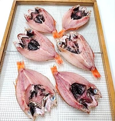【新湊産】のどぐろ鮮干し（大サイズ3尾）