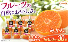 【みかん】たらみ おいしい蒟蒻ゼリー   150g 30個セット 糸島市 / たらみ [ALN009-5]