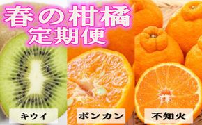 【定期便全3回 固定月】 和歌山の人気の春のフルーツをお届け！ （キウイ・ポンカン・不知火） ［TM257］ 303446_XH92280