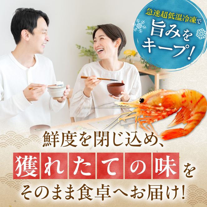 獲れたての味！北海道余市産 ボタンエビ 300g＋ボイルシャコ300g セット 地元漁港直送 急速超低温冷凍 刺身用 海鮮丼 生食可 国産 天然 食べ比べ 海の幸 詰め合わせ 送料無料_Y022-0027