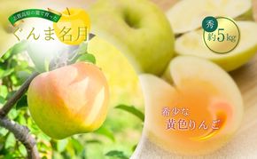 【2026年発送】志賀高原の麓で育った ぐんま名月 秀18玉 約5kg りんご 5kg フルーツ 果物 デザート 長野