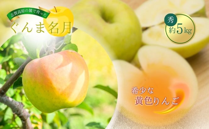 【2026年発送】志賀高原の麓で育った ぐんま名月 秀18玉 約5kg りんご 5kg フルーツ 果物 デザート 長野