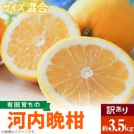 AB7041n_有田育ちの 河内晩柑 【訳あり 家庭用】3.5kg (サイズ混合)【ミカン 蜜柑 灘オレンジ サウスオレンジ 柑橘 フルーツ 和歌山 有田】