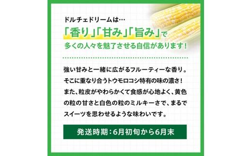 【令和７年発送】宮崎県産とうもろこし　スイートコーン「ドルチェドリーム」5kg 【 とうもろこし スイートコーン コーン とうきび 野菜 2025年発送 】 [D10801]