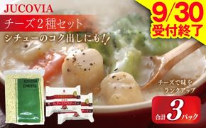 010B1640 【9/30受付終了】JUCOVIA 業務用 チェダースライスチーズ 20枚×2P・オランダゴーダーシュレッド 1kg×1P【ムラカワチーズ 食べ比べ セット 詰め合わせ 小分け 普段使い 高評価 ちーず】