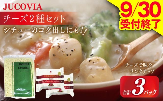 010B1640 【9/30受付終了】JUCOVIA 業務用 チェダースライスチーズ 20枚×2P・オランダゴーダーシュレッド 1kg×1P【ムラカワチーズ 食べ比べ セット 詰め合わせ 小分け 普段使い 高評価 ちーず】