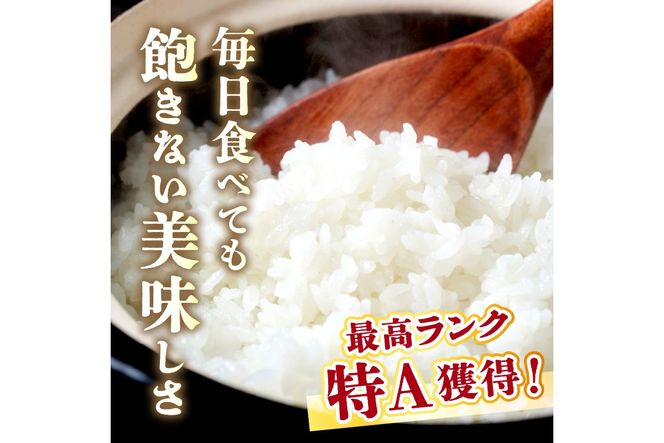 直売所直送「令和7年産　京丹後市産　コシヒカリ」　玄米5kg　JA00070
