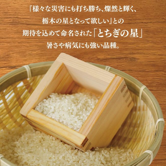 山﨑観光農園のお米　＼とちぎの星　白米27kg／｜栃木県 益子町 ふるさと納税 お米 大容量 米 白米 精米 約27kg（AU040）