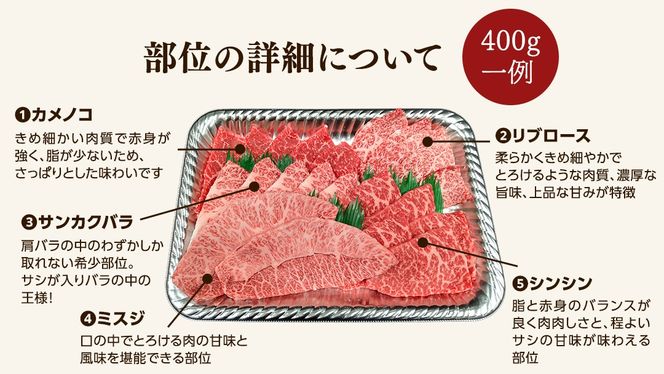 ＼選べる内容量／【 常陸牛 】 焼肉 5種盛りセット400g（各種 約80g) / 400g(各種 約80g)×2パック（計800g） (茨城県共通返礼品) 黒毛和牛 厳選部位 焼肉食べ比べ ひたちぎゅう 和牛 国産牛 ミスジ イチボ ササミ ザブトン シンシン カイノミ ボンジョー タテバラ 三角バラ サイコロステーキ サーロイン リブロース ランプ ウワミスジ ヒレから おススメ セレクト [BX146-NT00]