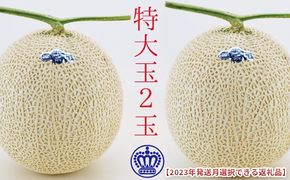 ★発送月選択できる返礼品★ 『クラウンメロン（白等級）特大玉 2玉』  メロン 人気 厳選 ギフト 贈り物 デザート グルメ 袋井市