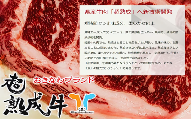 おきなわブランド【超熟成牛】&琉球在来【アグー豚】セット