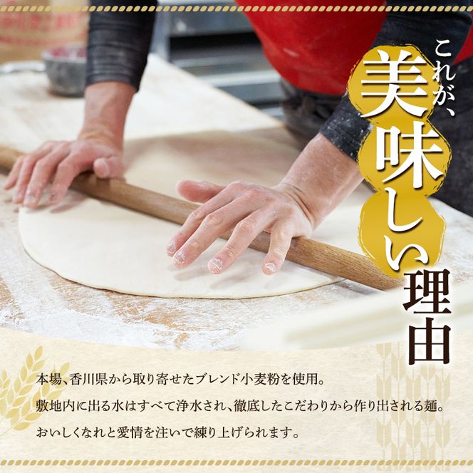 がいな製麺所 お食事券A おでかけ チケット うどん 讃岐うどん 行列 卵かけご飯 がいなばあちゃん 