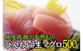 天然 びん長生マグロ 500g 鮮度抜群の生まぐろをお届けします / 生鮪 鮪 マグロ 生まぐろ ビンチョウマグロ 刺身【tka017A】