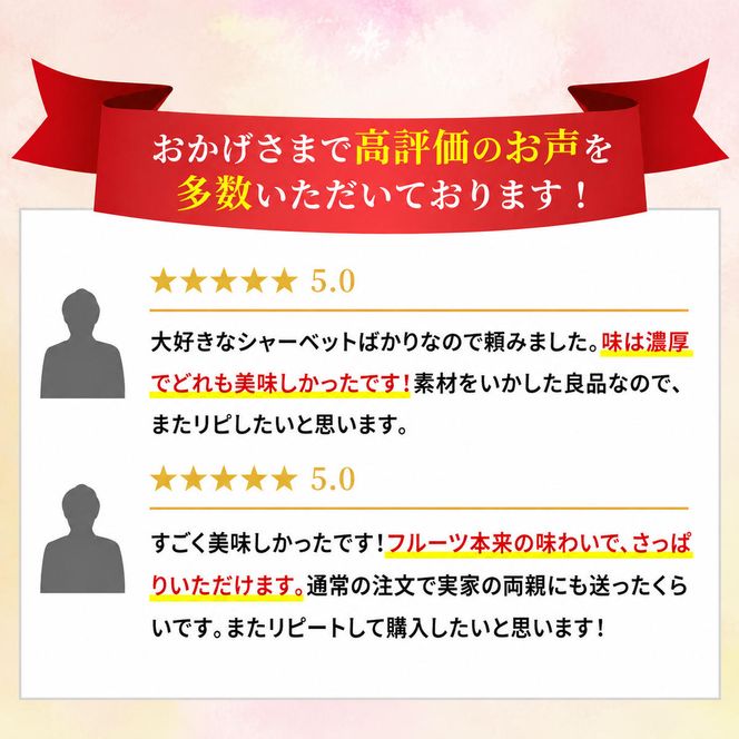シャーベット すみだモダン認定 フルーツシャーベット 詰め合わせ セット マチヤス アイス アイスクリーム ソルベ 生 フルーツアイス フルーツアイスクリーム スイーツ フルーツ 果物 ギフト プレゼント 贈答 贈答品 贈り物 お祝い 冷凍 東京