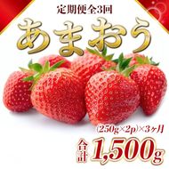 定期便 3ヶ月 福岡県産 あまおう 合計1500g 先行予約 2027年1月より順次発送 いちご イチゴ 苺 果物 3回 ※配送不可：離島