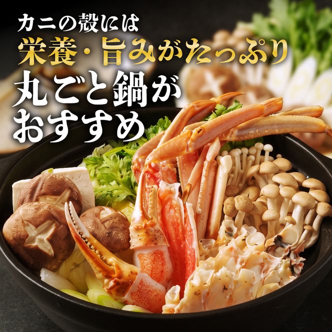 22-158 カニ鍋セット｜生食可ズワイガニ剥き身1.2kg～1.4kg 