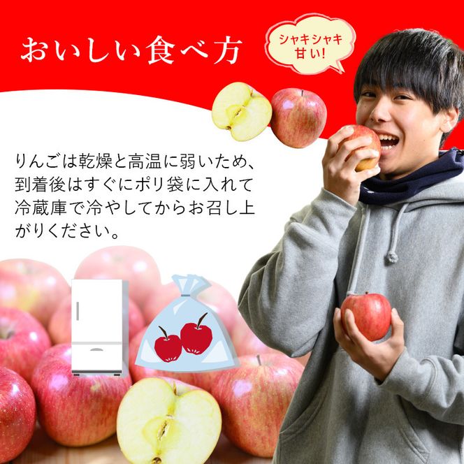 りんご【11月～2月発送】糖度13度以上 ぐんま名月 おもてなし用 家庭用 約3kg【青森りんご】
