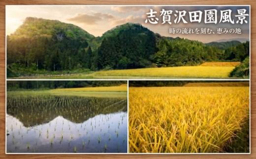 【 令和8年産 】新米 食べ比べセット 定期便 5kg 6ヶ月 おこめ お米 白米 精米 ライス ごはん ご飯 つきあかり つや姫 にじのきらめき だて正夢 ひとめぼれ ササニシキ セット 国産米 銘柄米 味比べ バリエーション お楽しみ 食味 毎日の食卓 毎月変わる 色々試せる 志賀沢米 岩沼産米