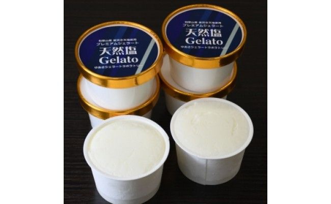 プレミアムジェラート 天然塩 100ml×12個_V7133
