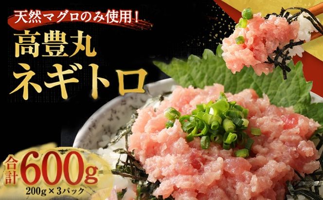 【お試しセット】 土佐流藁焼きかつおのたたき１節と高豊丸ネギトロ６００ｇ 魚介類 海産物 カツオ 鰹 わら焼き 高知 コロナ 緊急支援品 海鮮 冷凍 家庭用 訳あり 不揃い 規格外 小分け 個包装 まぐろ マグロ 鮪 ねぎとろ 藁 藁焼き かつお 室戸 ttk ngt tk066